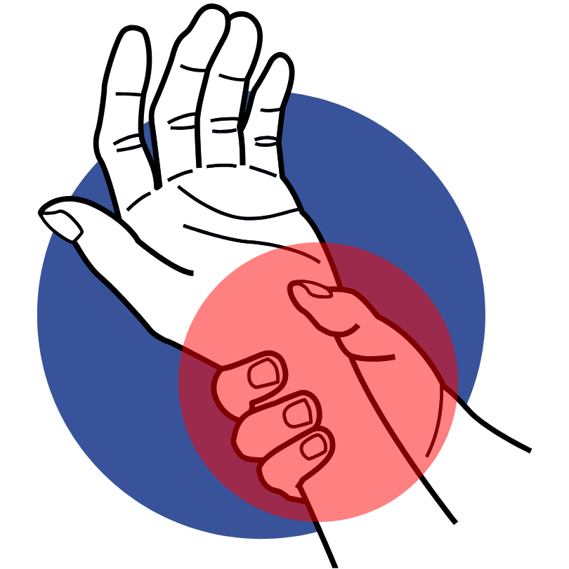Pols/hand